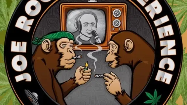 Joe Rogan Experience Review podcast