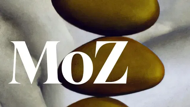 "Moment of Zen"